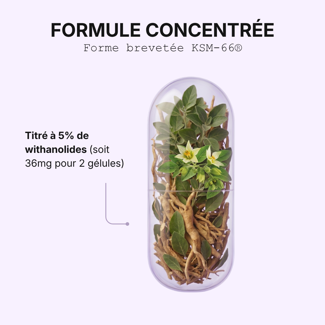 Ashwagandha KSM-66®