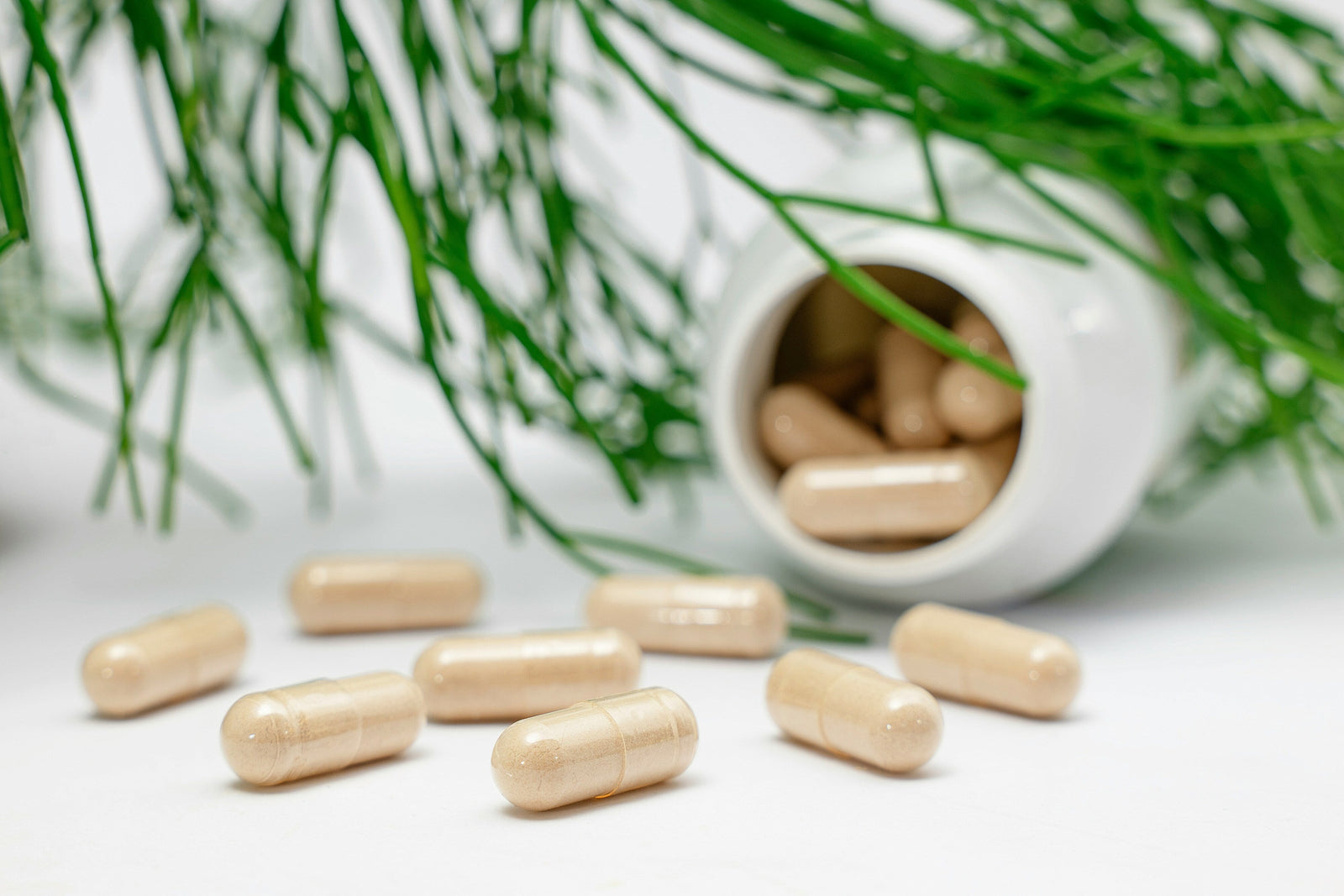 Les bienfaits du zinc s'étendent sur de nombreuses fonctions de l'organisme : immunité, cicatrisation, santé de la peau, des cheveux et des ongles.