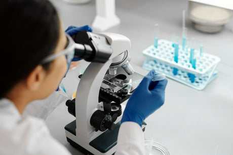 Les études scientifiques du collagène les plus prometteuses portent sur la peau et le confort articulaire. Les autres possèdent encore un niveau de preuve limité.