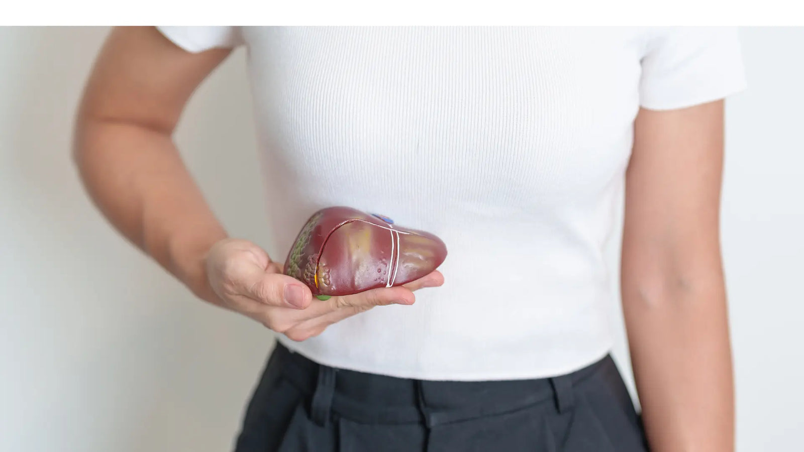 Comment un foie en forme booste votre bien-être ?