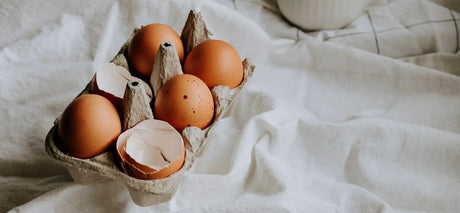 le collagène de la coquille d'oeuf efficace ? 