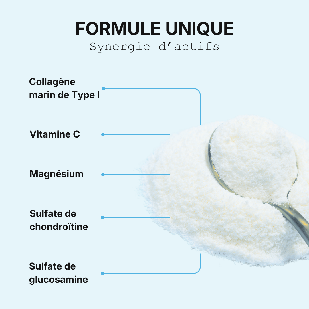 Collagène Articulations