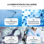 Collagène & Acide hyaluronique - Peau Magnifique