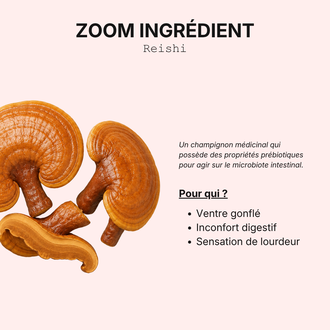 Prébiotiques probiotiques - Ventre léger