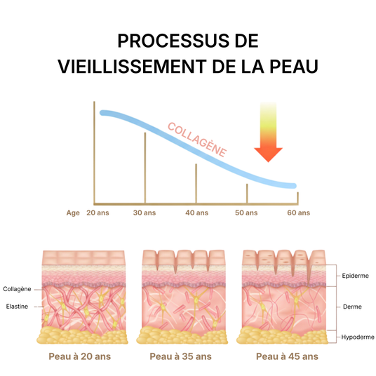 Processus-vieillissement-peau